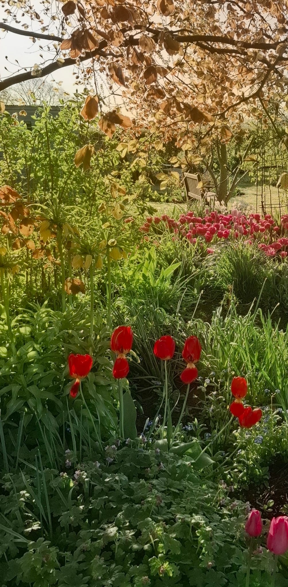 Spring scene